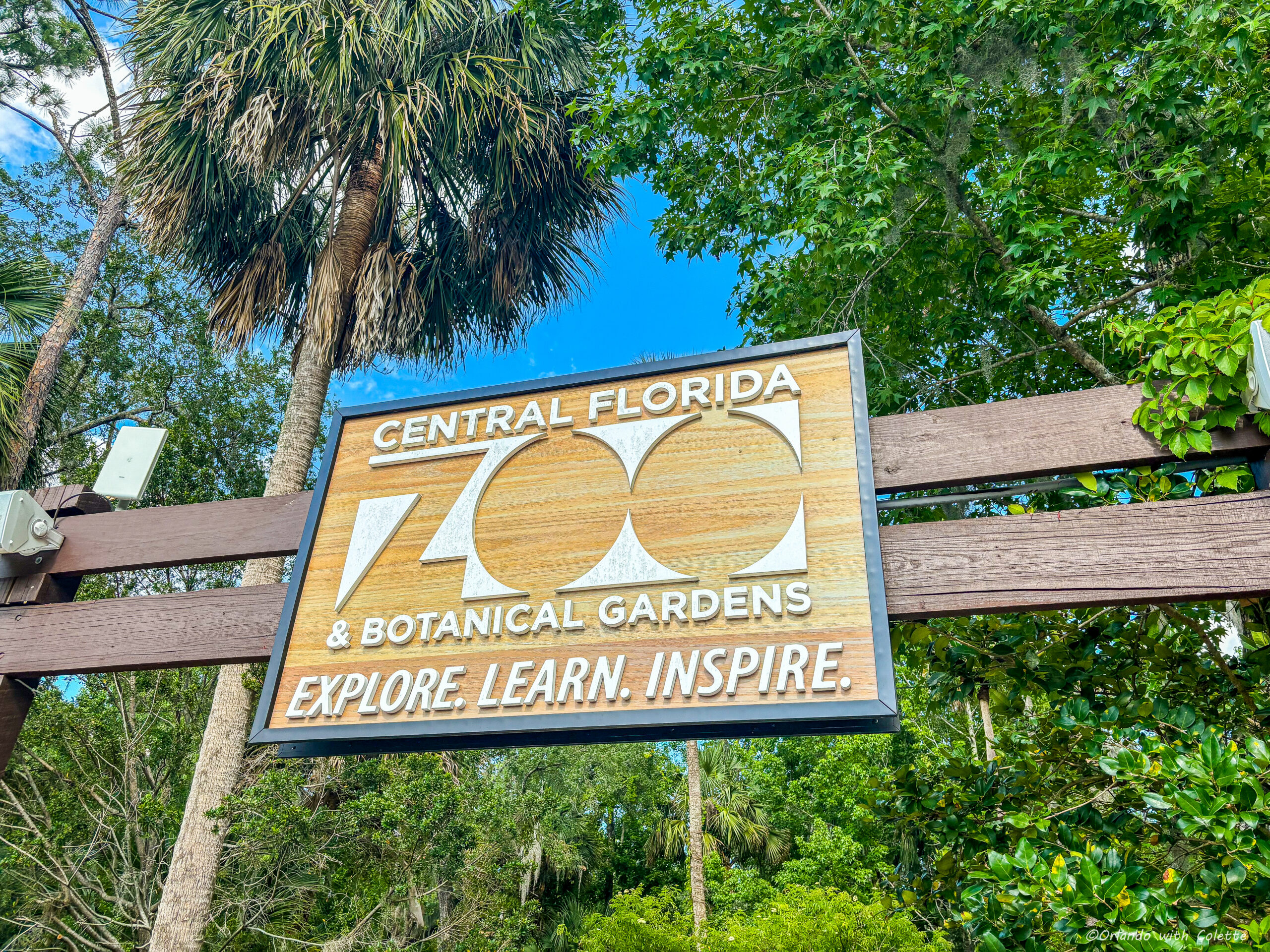 A Fantastic Evening at the Central Florida Zoo at the Sunset at the Zoo Event!